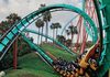  Roller coaster, structure, car and grass